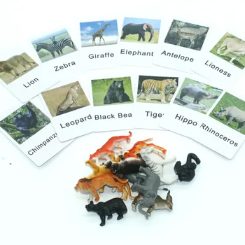 Montessori Limba Material Carduri PVC Africa de Animale de Potrivire Carduri de Jucării Educative Pentru Copii Juguetes Motnessori YE2264H