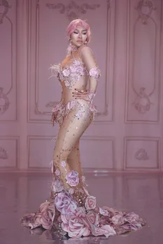 Femei Cantareata de Performanță Costum de Design de Moda Flori Roz Vedea Prin Rochie Lunga 3D Model Mesh Stretch Ziua Rochie de Petrecere