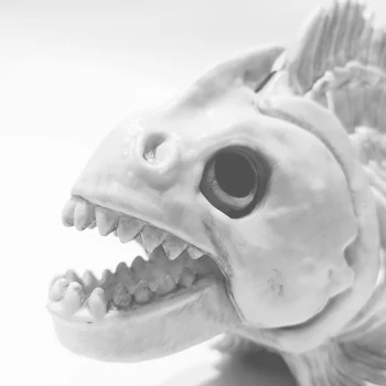 Halloween Simulat Schelet de Pește Groază Oase de Animale Amuzant din Plastic elemente de Recuzită de Partid Provizii pentru Acasă Bara de Învățare Școală