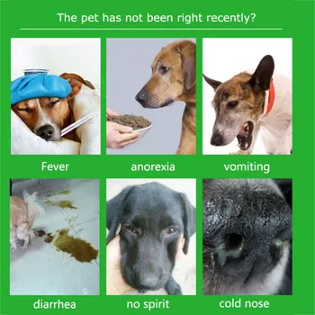 Canin de Câine Distemper Virus CPV Acasă Tampon Nazal Sănătate Hârtie de Testare Câine Testul pentru Virusul Canin de Acasă de Sănătate Detectare Animal de casă Supplies