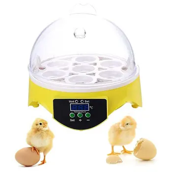 7 Oua Incubator Ouă de Pasăre Incubator Semi-automate Miniatură Ou Incubator de Porumbel Incubatoare de uz Casnic