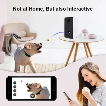 Interactive Pet Feeder Cu Voce De Fotografiat Automate, Animale De Companie, Bol Alimentar Pentru Mediu Mic Câine Pisică Noapte Wifi Viziune Cam 0,5 L
