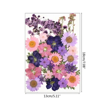 1 Pachet de Flori Uscate la UV Rășină Decorative de Flori Naturale Autocolante 3D Uscat Frumusete Decal Epoxidice Mucegai DIY de Umplere a Face Ambarcațiunile de Bijuterii