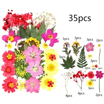 1 Pachet de Flori Uscate la UV Rășină Decorative de Flori Naturale Autocolante 3D Uscat Frumusete Decal Epoxidice Mucegai DIY de Umplere a Face Ambarcațiunile de Bijuterii