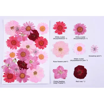 Noi Presate la Cald de Flori Uscate Flori DIY Arta Meserii Scrapbooking Decor Multifuncțional SMD66