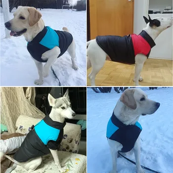 2020 Iarna Cald Animale De Companie Câine Haine Noi De Moda Stil Minunat Impermeabil În Aer Liber, Jachete Haine Pentru Animale De Companie Furnizor De Produse Bomboane De Culoare