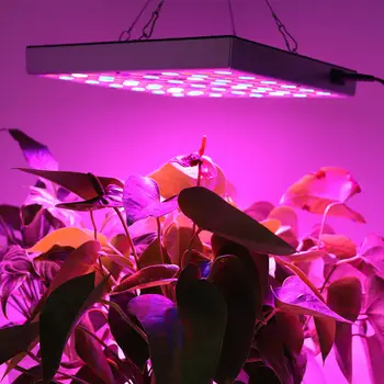2 BUC 160W Interior Legume Suculente în Creștere Lampa IR, UV Spectru Complet cu efect de Seră LED-uri Cresc de Lumină Plantelor Pentru Semințe de Plante cu Flori Floare