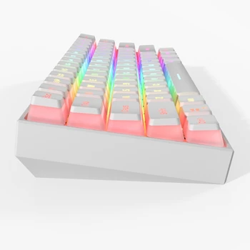 61 Taste de Tip C, RGB LED Dublu Pielea Lapte Împușcat cu iluminare din spate cu Fir Tastatură Mecanică Mini Tastatură de Gaming Gateron Switchs pentru PC Deskt