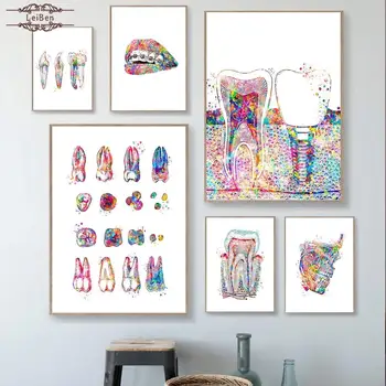 Sănătatea orală Dinti Colorate Poster Implant Dentar Anatomie Panza Pictura Medicale Arta de Perete Imagini pentru Spitalul Clinic de Decor