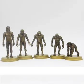 5pcs Evoluția Umană Ape Modele de Figurine Jucarii Colecții și Afișează