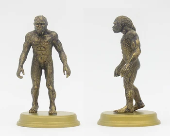 5pcs Evoluția Umană Ape Modele de Figurine Jucarii Colecții și Afișează