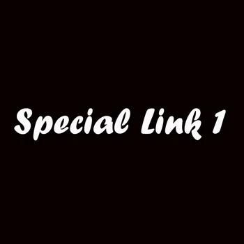 Link Special 1