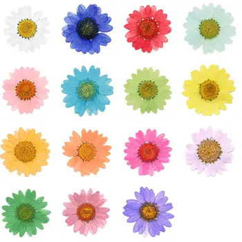 120pcs 2.5-3cm Presate Uscat Daisy Floare Crizantema Pentru Petrecerea de Nunta Acasă Pandantiv Colier Artizanat DIY Accesorii