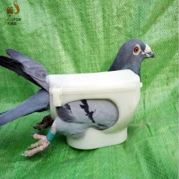 Noi Porumbei titularul porumbel speciale de injecție medicina de reparare