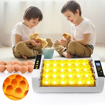 LED-uri de Înaltă eficiență Automată Ou Incubator Automat Ou Incubator Cu Control al Temperaturii Pentru Pui, Gâscă, Rață, Ouă de Prepeliță