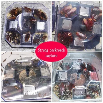 Fierbinte De Vânzare Eficiente Gândac Capcana Cutie Gândac Catcher Gândac Momeală Criminal Reutilizabile Capcană Fără Poluare Pentru Bucătărie Acasă